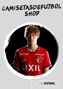 Kashima Antlers camiseta 22-23
